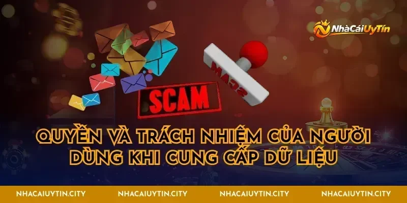 Quyền và trách nhiệm của người dùng khi cung cấp dữ liệu