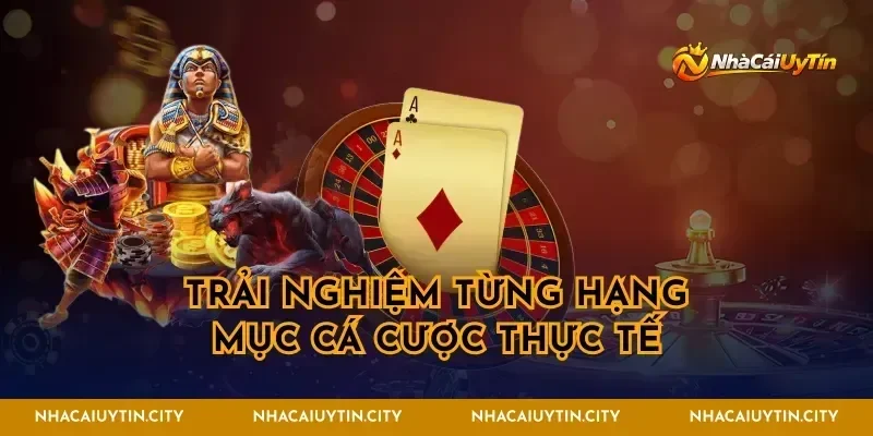 Trải nghiệm từng hạng mục cá cược thực tế