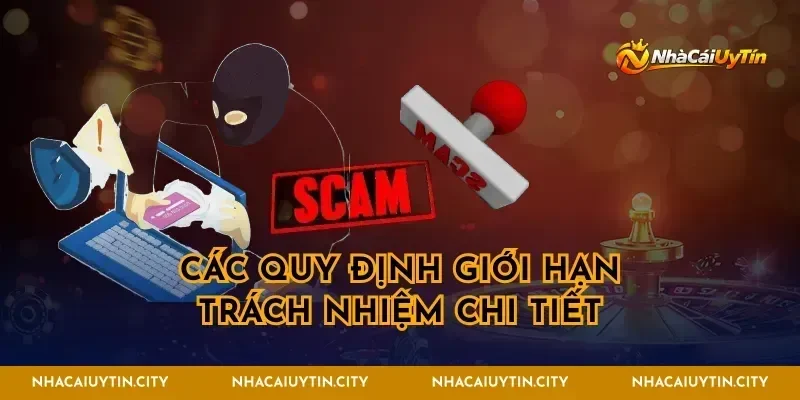 Các quy định giới hạn trách nhiệm chi tiết
