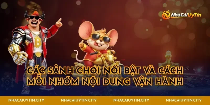 Các sảnh chơi nổi bật và cách mỗi nhóm nội dung vận hành